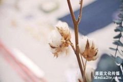 纺织生产企业宣传片应该如何拍摄制作呢