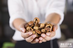 连锁餐饮企业招商片拍摄制作