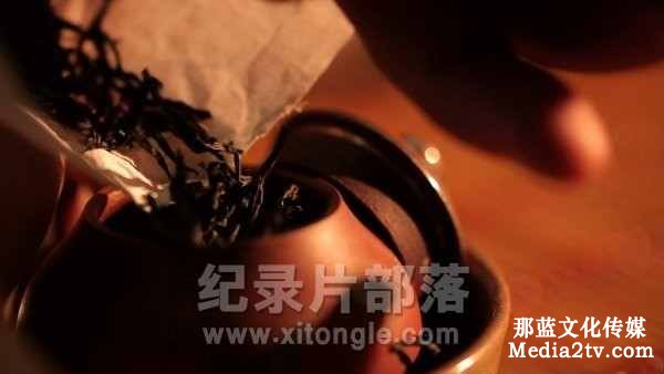 纪录片部落-纪录片知识-中国纪录片发展历程解析 纪录片鉴赏 